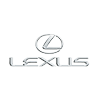 Лексус (lexus)